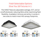 RAB VAN17 3-Way Adjustable Canopy Light
