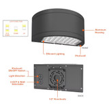 Envision 120V/347V LED Dual Arc Up & Down Wall Light