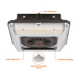 Envision LED Square Field-Adjustable Canopy Light