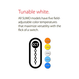 RAB SUMO Square Slim CCT Adjustable Surface Mount