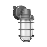 RAB Field-Adjustable Vaporproof Light w/ RGB