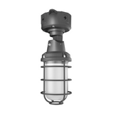 RAB Field-Adjustable Vaporproof Light w/ RGB