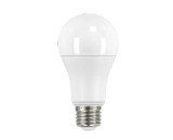 RAB E26 Base Bulb (6-Pack)