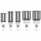 RAB High-Voltage Post Top LED Bulb w/ Adjustable-CCT