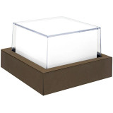 Westgate 120V LED Twin Lux Adaptive Color Architectural Wall Light