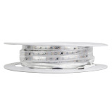 American Lighting 12V LED Hybrid Static White Tape Light