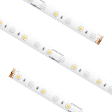 American Lighting 24V LED High Output RGBW Tape Light
