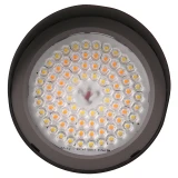 Westgate 120V/277V LED Multi-CCT Flood Head