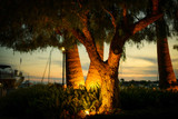 2700K vs 3000K vs 5000K Outdoor Lighting: Which Color Temperature Is Best?