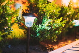 How to Install Low Voltage Landscape Lighting Step-by-Step | DIY Guide