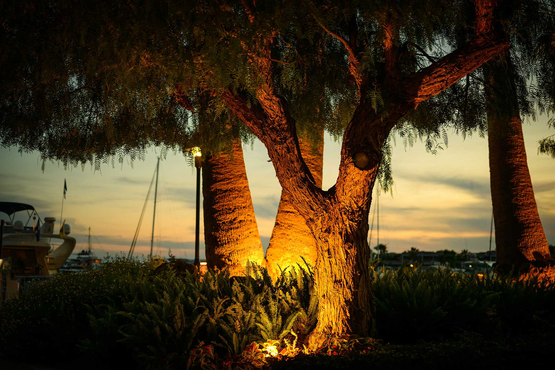 2700K vs 3000K vs 5000K Outdoor Lighting: Which Color Temperature Is Best? thumbnail image