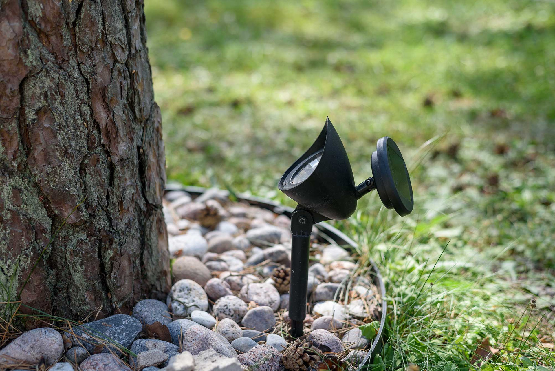 Brass vs Aluminum Landscape Lighting: Which One Actually Lasts? thumbnail image