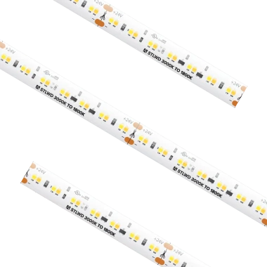 American Lighting 24V LED Trulux Standard Grade Dim To Warm Tape Light