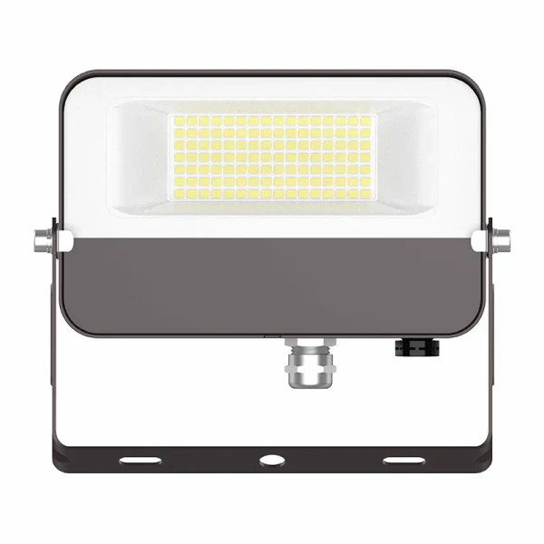 Westgate 120V LED Multi-CCT Flood Light With Trunnion Mount