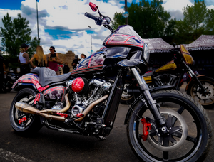 Sawicki 930-01238 2:1 Shorty Brushed Stainless Exhaust M8 Softail 18-25 Sawicki 930-01238 2:1 Shorty Brushed Stainless Exhaust M8 Softail 18-25