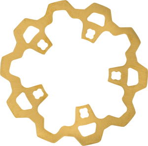 LYNDALL RACING 3-232 GOLD BRAKE ROTOR 11.8" ENFORCER PRODIGY FL 14-22 LYNDALL RACING 3-232 GOLD BRAKE ROTOR 11.8" ENFORCER PRODIGY FL 14-22