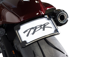 TBR 013-541 Fender Eliminator Kit license plate Sportster S 21-24