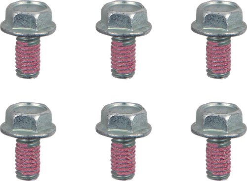 MOTO-MASTER 012017-PU Bolts - Brake Rotor - Torx - M6 x 12 - 6-Pack - Brake Rotor Torx M6 x 12 6-Pack