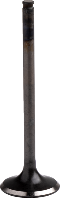 PROX 28.1334-1 Exhaust Valve - Honda