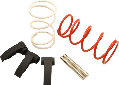DYNOJET 19-DCK18 Clutch Kit - RZR Pro R