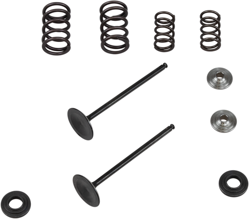 KIBBLEWHITE 96-96450 Intake Stainless Conversion Valve and Spring Kit - 0.425" Lift KTM 250XCF-W | 250 RC4 Engines '08-'11