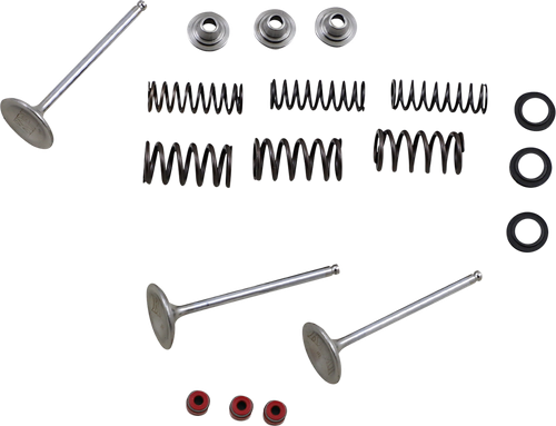Moose Offroad Valve and Spring Kit - Yamaha WR450F | YZ450F [M8080950]