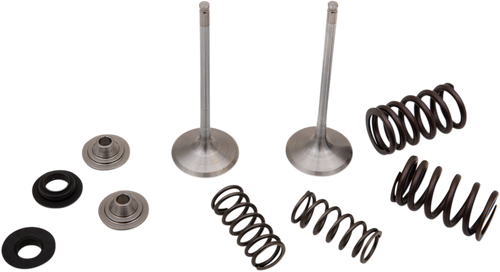 Moose Offroad Valve and Spring Kit - Kawasaki KX250F [M4041450]