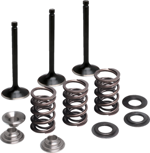 Moose Offroad Valve and Spring Kit - Intake - Yamaha [M8083050]