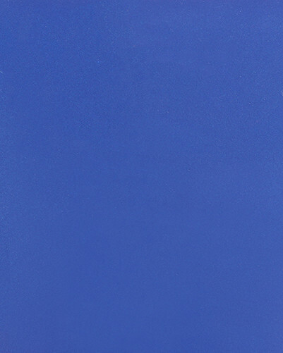 PRO ARMOR P191C026PB CAB ASYLUM CAGE W/NO INTRUSION POLARIS BLUE