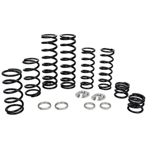 ZBROZ K30-PL1006-0 DUAL RATE SPRING KIT POL