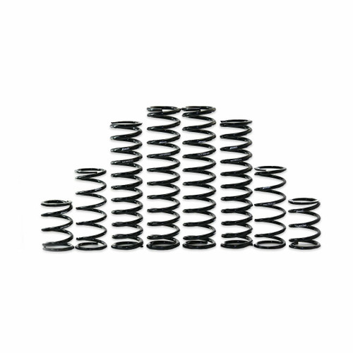 ZBROZ K30-KA1001-0 DUAL RATE SPRING KIT KAW