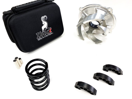 IBEXX 11791-2 CLUTCH KIT STAGE 2 POL 850