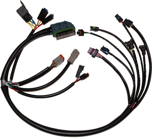 NAMZ CUSTOM CYCLE NHD-70233-02 COMPLETE EFI HARNESS 02-03