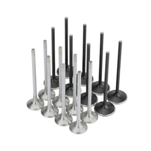 Skunk2 Honda K20C1 Alpha Series Intake & Exhaust Valve Set (Standard Compression) - 310-05-2000