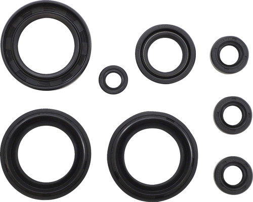 Moose Offroad Oil Seal Set - Polaris [822198mse]
