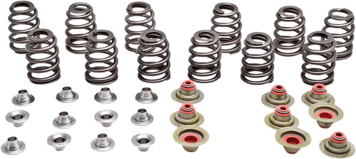 KIBBLEWHITE Beehive Spring Kit - 0.350" Lift - Can Am | Rotax Ace 900 CC Triple Engines [9191300]