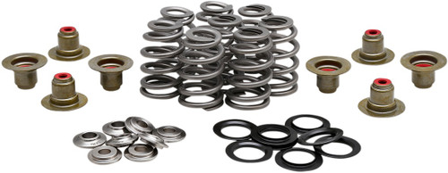 Open Box KIBBLEWHITE 20-21800 Beehive Valve™ Spring Kit - 0.625" Lift M8 | CVO
