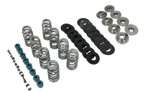 BIOHAZARD BIO1108 ENDURANCE BEEHIVE VALVE SPRING KIT TITANIUM RETAINERS M8