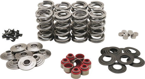 KIBBLEWHITE 20-23400 Dual Spring Kit Dual Shim Spring Kit - M8 M8