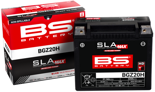 BS Battery BGZ20H AGM Battery 12V 21.1Ah 320 CCA 300933