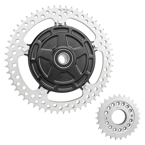 Arlen Ness 300-200 Jagged Cush Drive Chain Conversion Kit FL touring 09-24