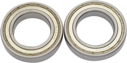 BELT DRIVES LTD. TFBSB-100 Replacement Outboard Bearings - Replacement Pair