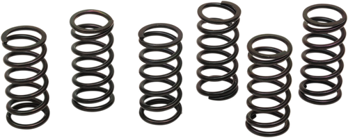 BARNETT 501-58-06121 Clutch Spring Kit