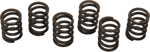 BARNETT 501-38-06012 Clutch Spring Kit - TL1000R/S