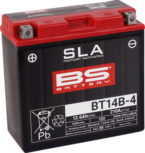 BS BATTERY 300644 SLA Factory- Activated AGM Maintenance-Free Battery - BT14B-4 (YT)