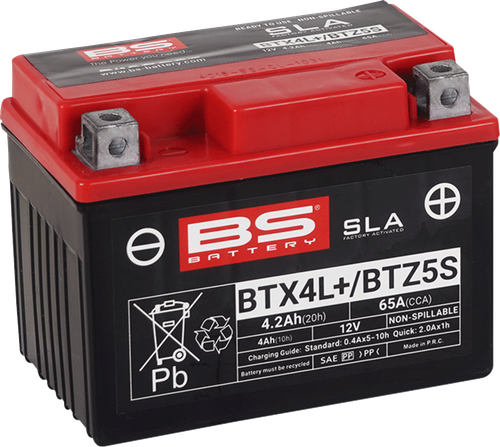 BS BATTERY 300669 SLA Factory- Activated AGM Maintenance-Free Battery - BTX4L/BTZ5S (YTX)