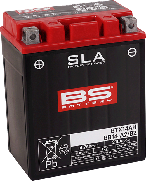 BS BATTERY 300758 SLA Factory- Activated AGM Maintenance-Free Battery - BTX14AH (YTX)