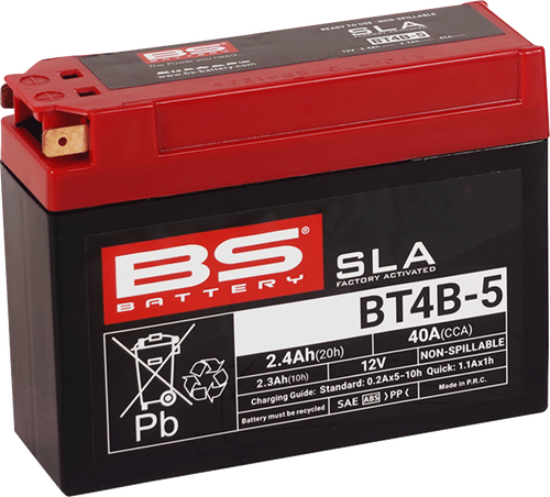 BS BATTERY 300756 SLA Factory- Activated AGM Maintenance-Free Battery - BT4B-5 (YT)