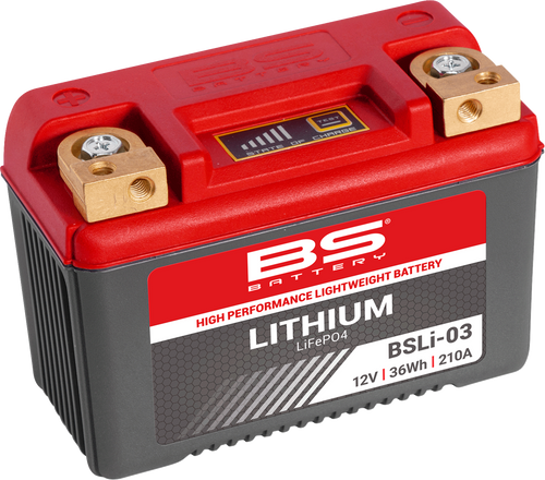 BS BATTERY 360103 Lithium LiFePO4 Battery - BSLi-03