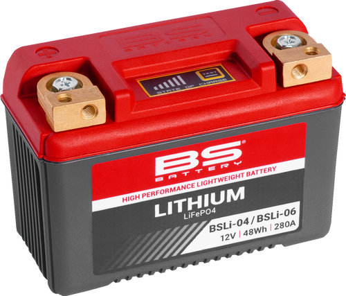 BS BATTERY 360104 Lithium LiFePO4 Battery - BSLi-04/06